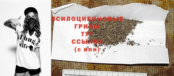 молекула духа Абинск