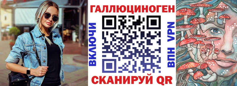гидра зеркало Заринск Псилоцибиновые грибы GOLDEN TEACHER
