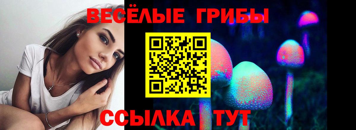 Галлюциногенные грибы GOLDEN TEACHER Заринск